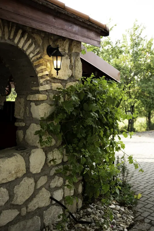 Élet a panzióban – Szentesi Panzió